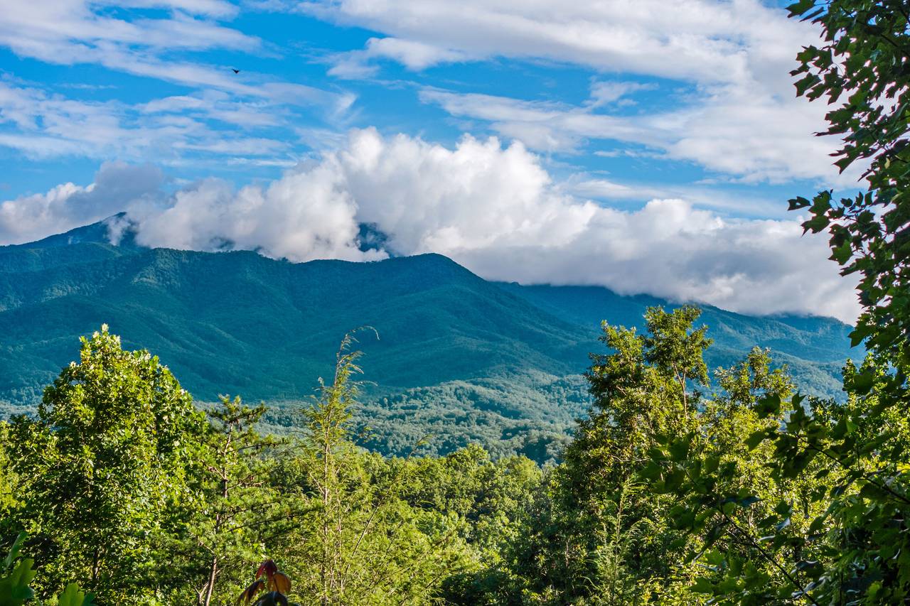 Elevated Views Surrounded by Nature Elevated Views Surrounded by Nature