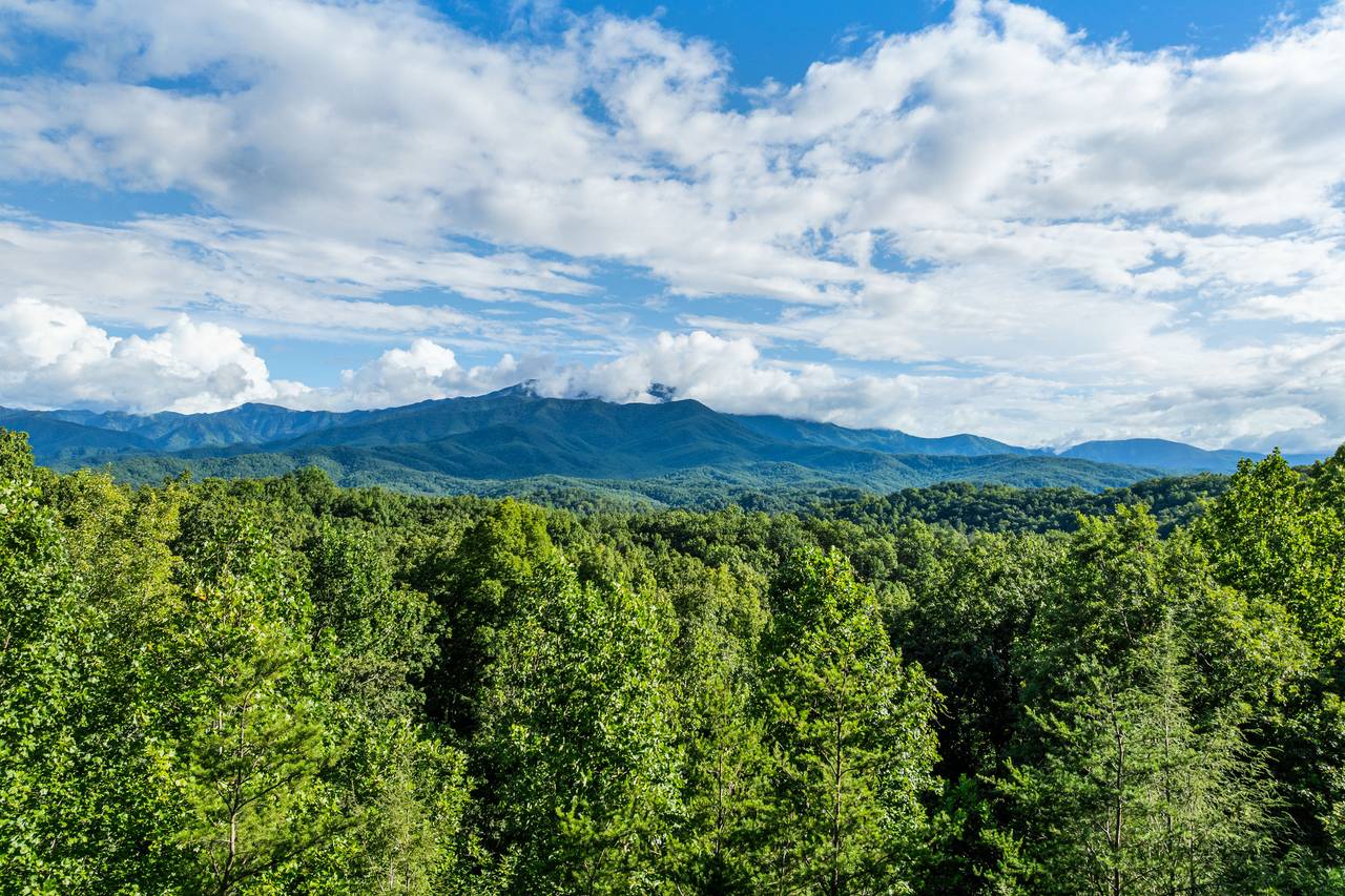 Elevated Views Surrounded by Nature Elevated Views Surrounded by Nature
