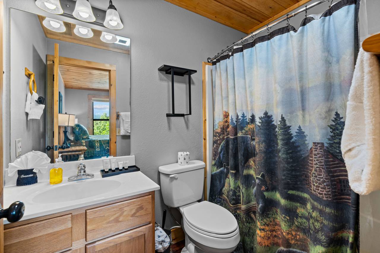 King ensuite full bathroom with tub and shower combo King ensuite full bathroom with tub and shower combo