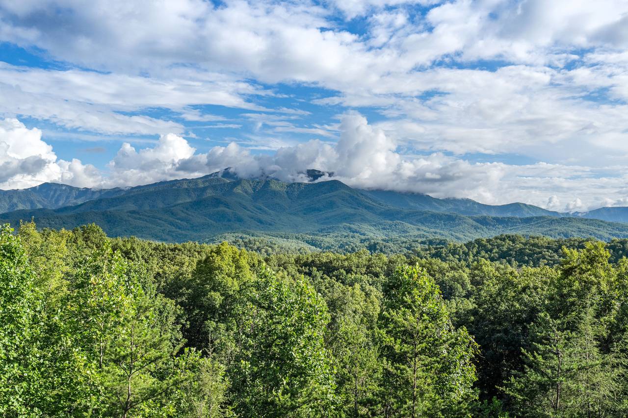 Elevated Views Surrounded by Nature Elevated Views Surrounded by Nature