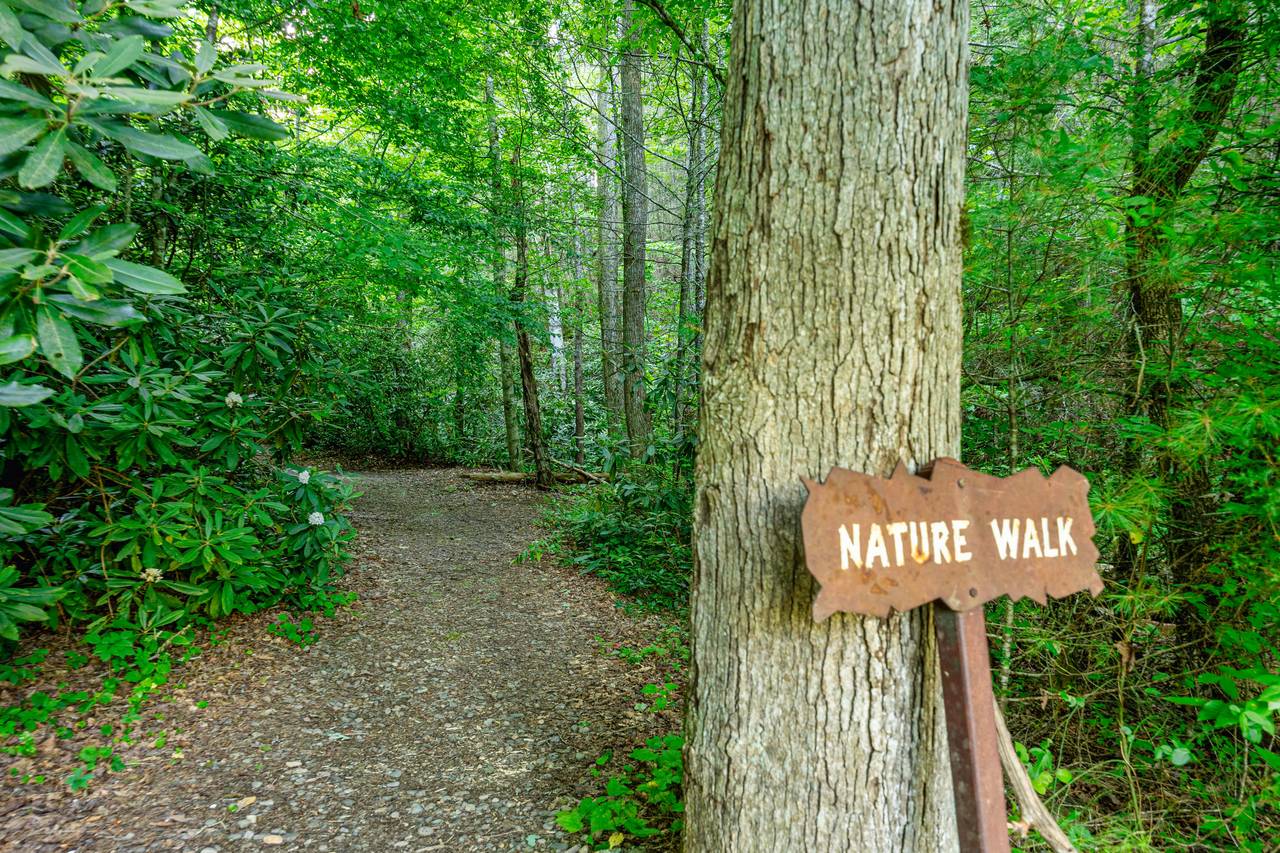 <span class="name">Resort Walking Trails</span> <span class="name">Resort Walking Trails</span>