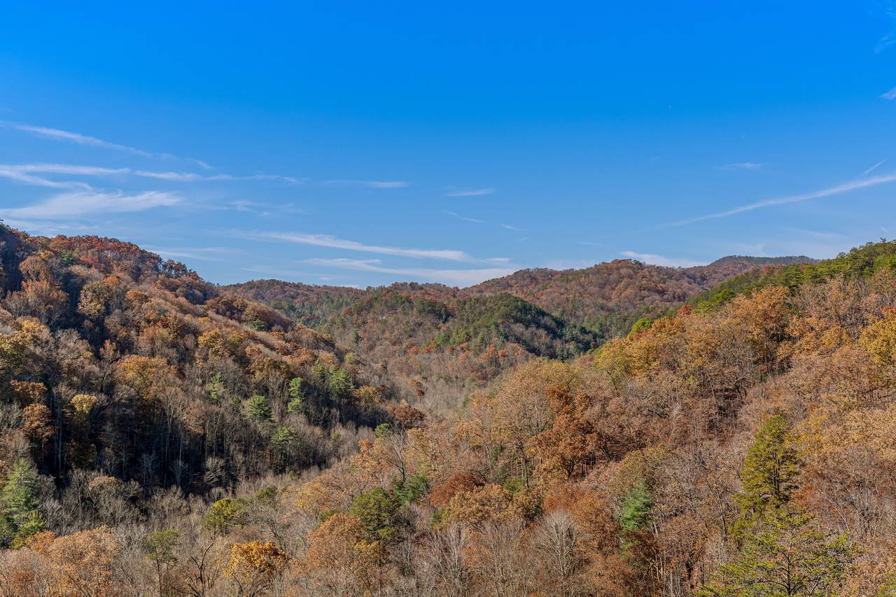 <span class="name">Upper deck with long-range mountain & treetop views</span> <span class="name">Upper deck with long-range mountain & treetop views</span>