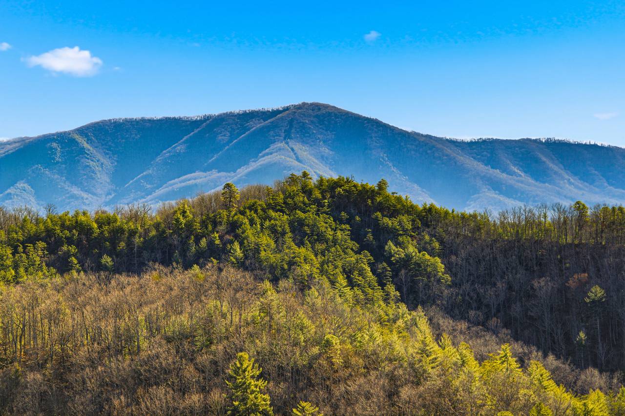 <span class="name">Panoramic Smoky Mountain views </span> <span class="name">Panoramic Smoky Mountain views </span>