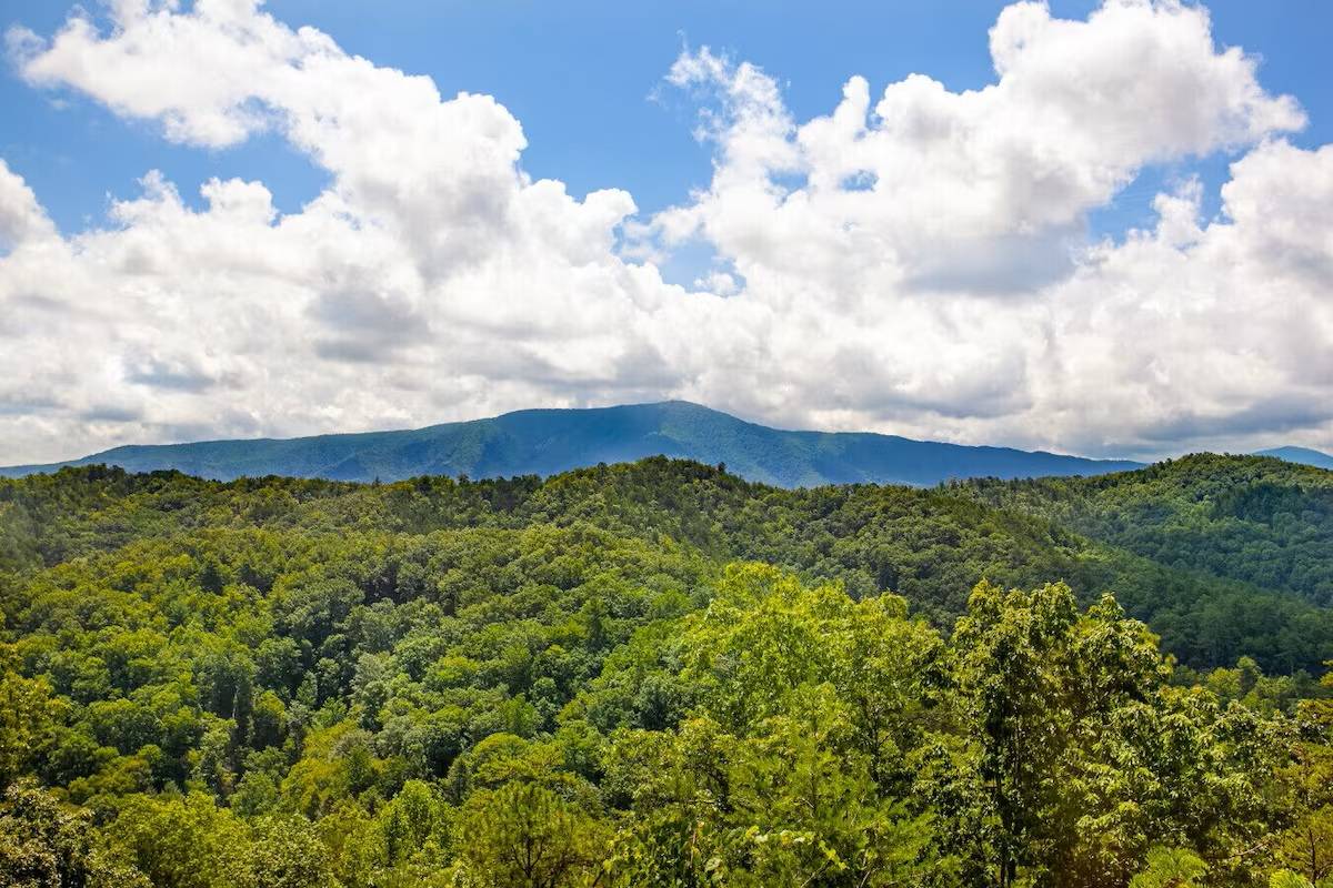 <span class="name">Panoramic Smoky Mountain views </span> <span class="name">Panoramic Smoky Mountain views </span>