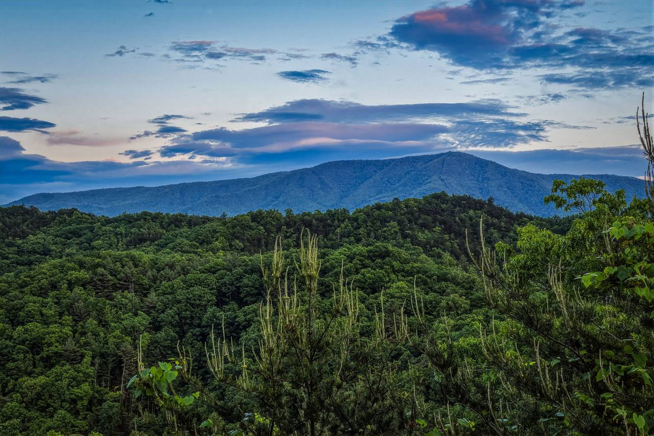 <span class="name">Views of The Great Smoky Mountains!</span> <span class="name">Views of The Great Smoky Mountains!</span>