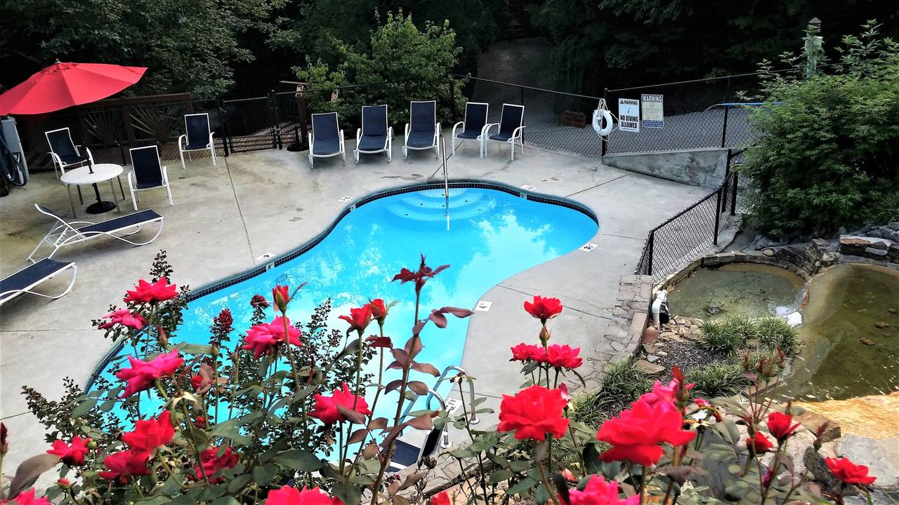 Seasonal swimming pool at Mountain Shadows Resort Seasonal swimming pool at Mountain Shadows Resort
