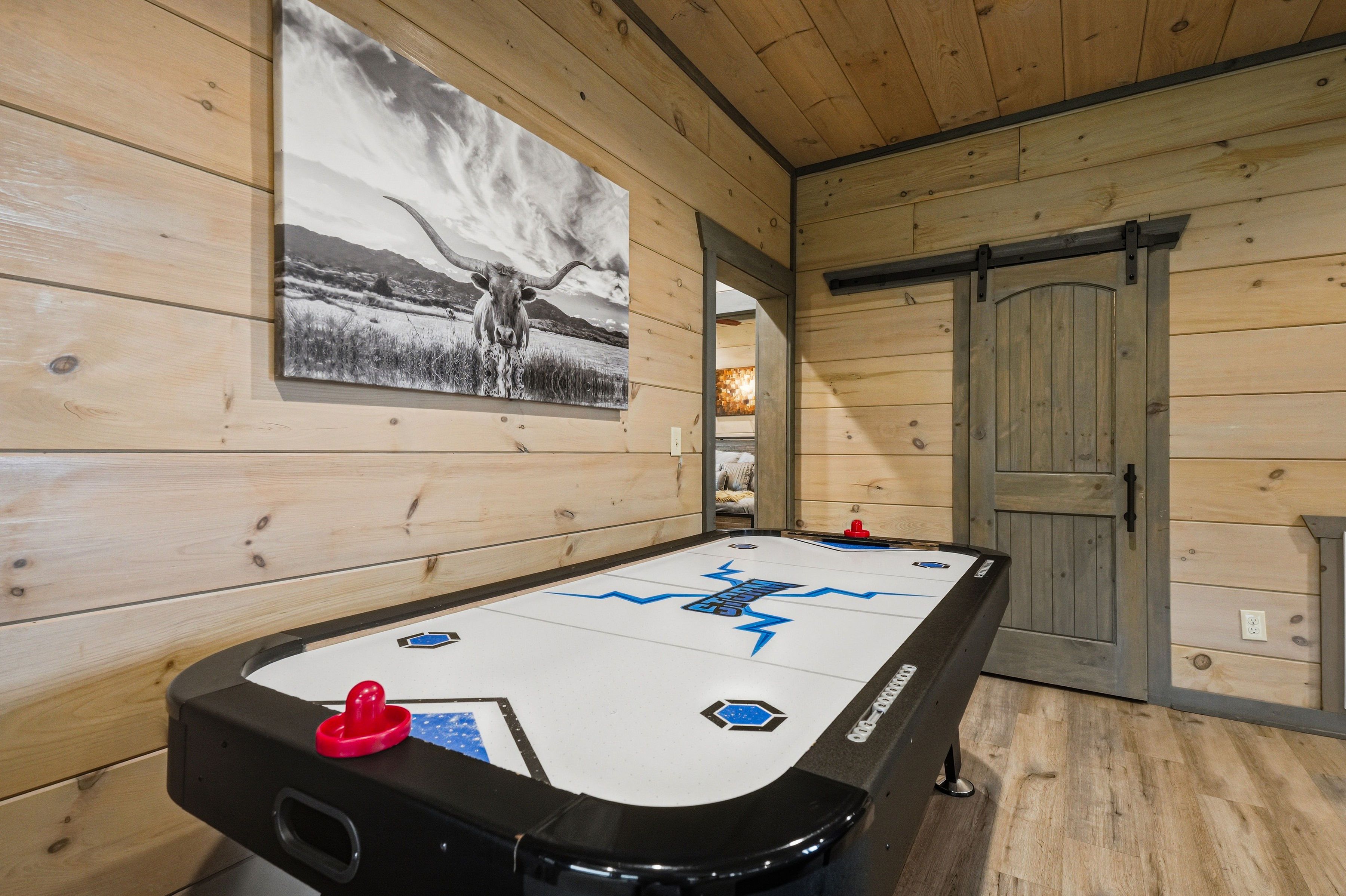 <span class="name">Air hockey table is ready for friendly competition</span>