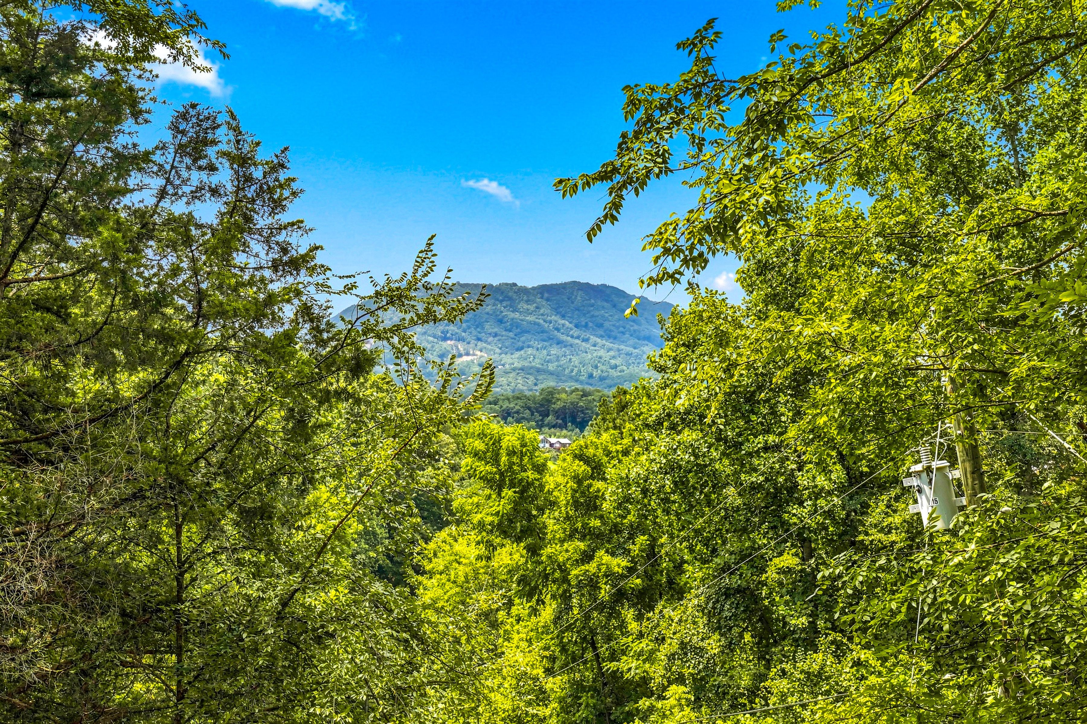<span class="name">Smoky Mountain views peek through the trees from the deck</span>