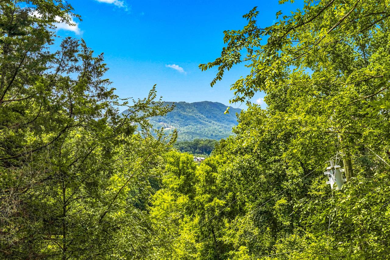 <span class="name">Smoky Mountain views peek through the trees from the deck</span> <span class="name">Smoky Mountain views peek through the trees from the deck</span>