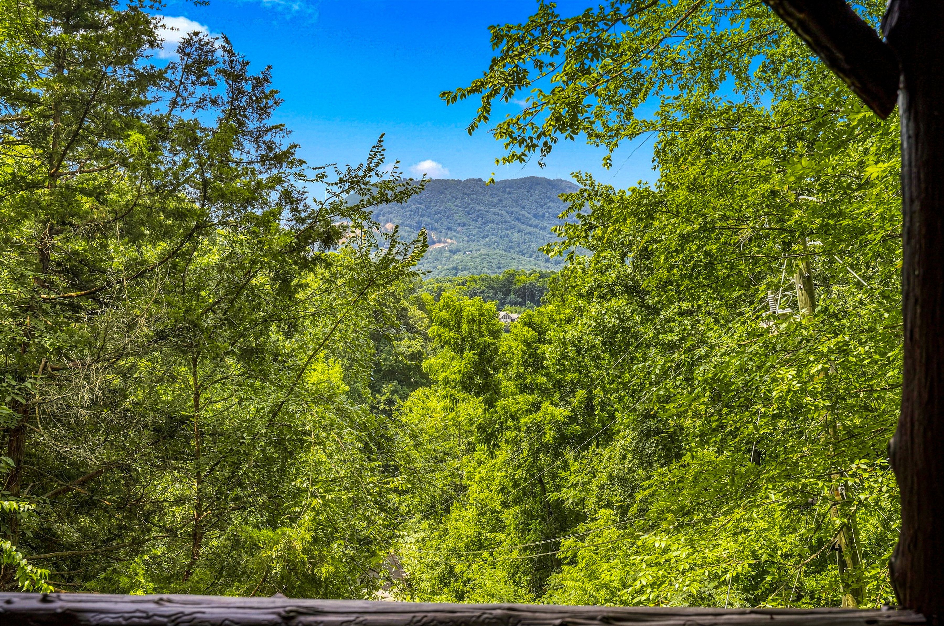 <span class="name">Enjoy a wooded deck view with the Smoky Mountains beyond</span>