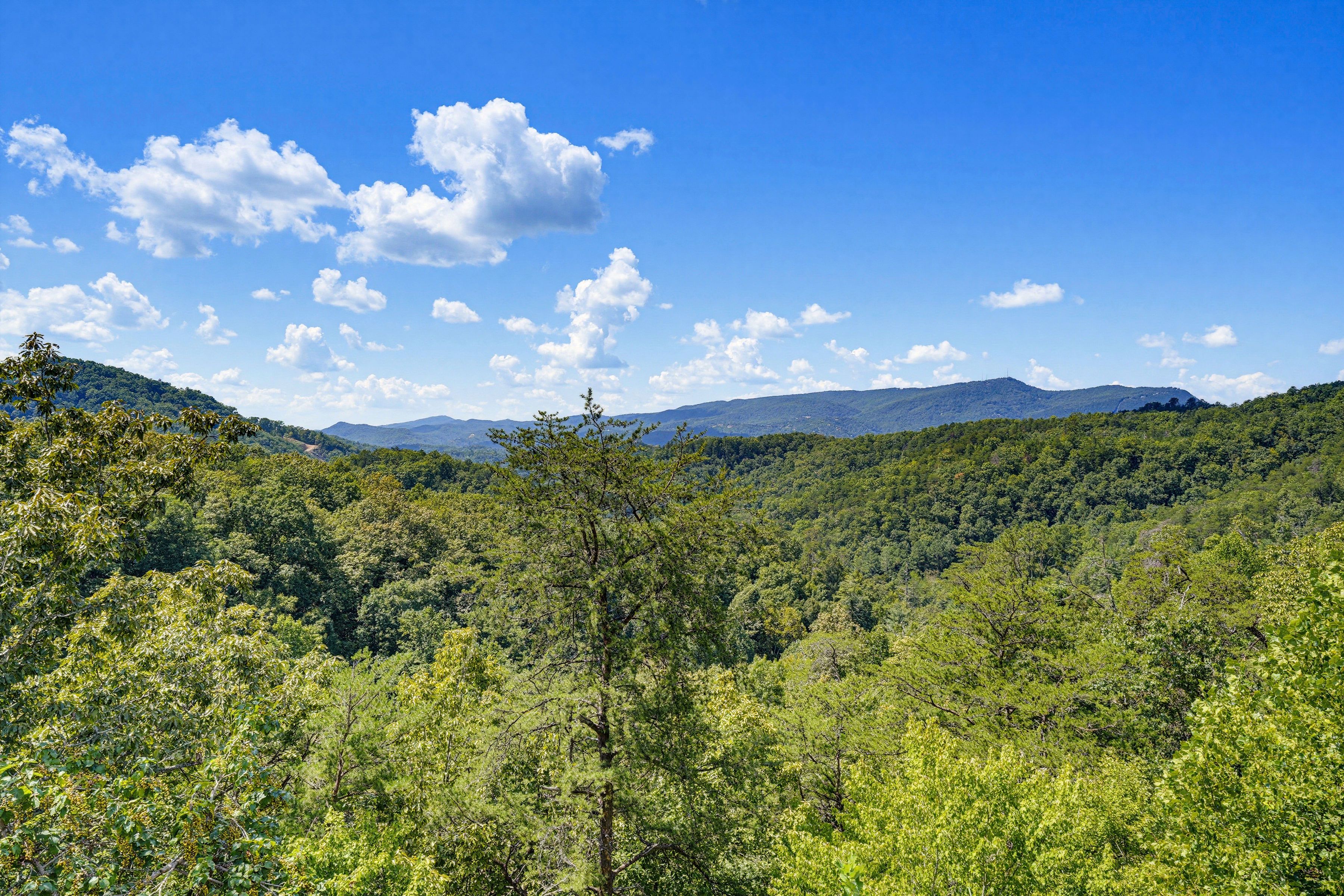 <span class="name">Take in sweeping mountain views from the cabin's decks</span>
