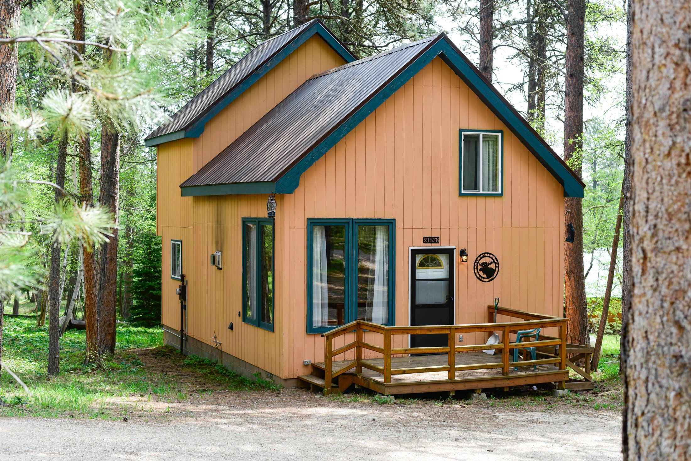 Lazy Moose Lodge Black Hills Adventure Lodging