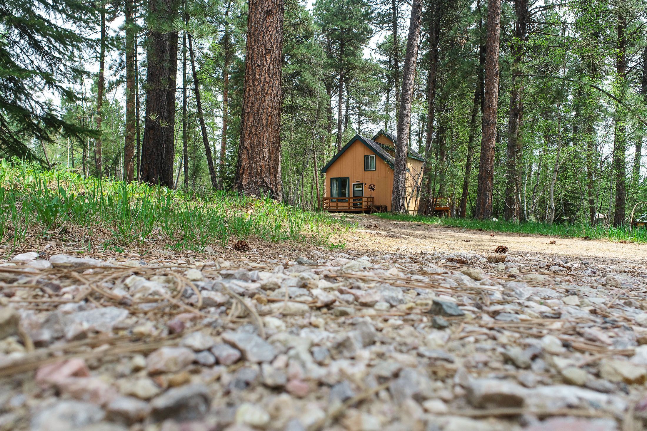 Lazy Moose Lodge Black Hills Adventure Lodging