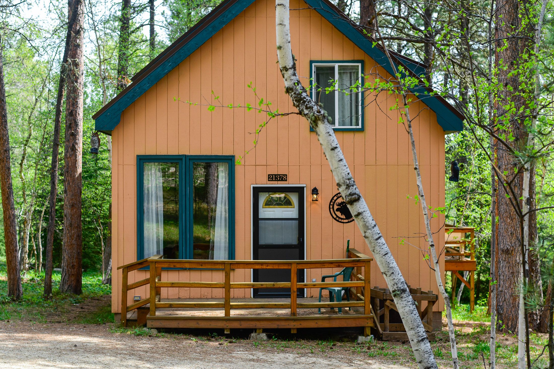 Lazy Moose Lodge Black Hills Adventure Lodging