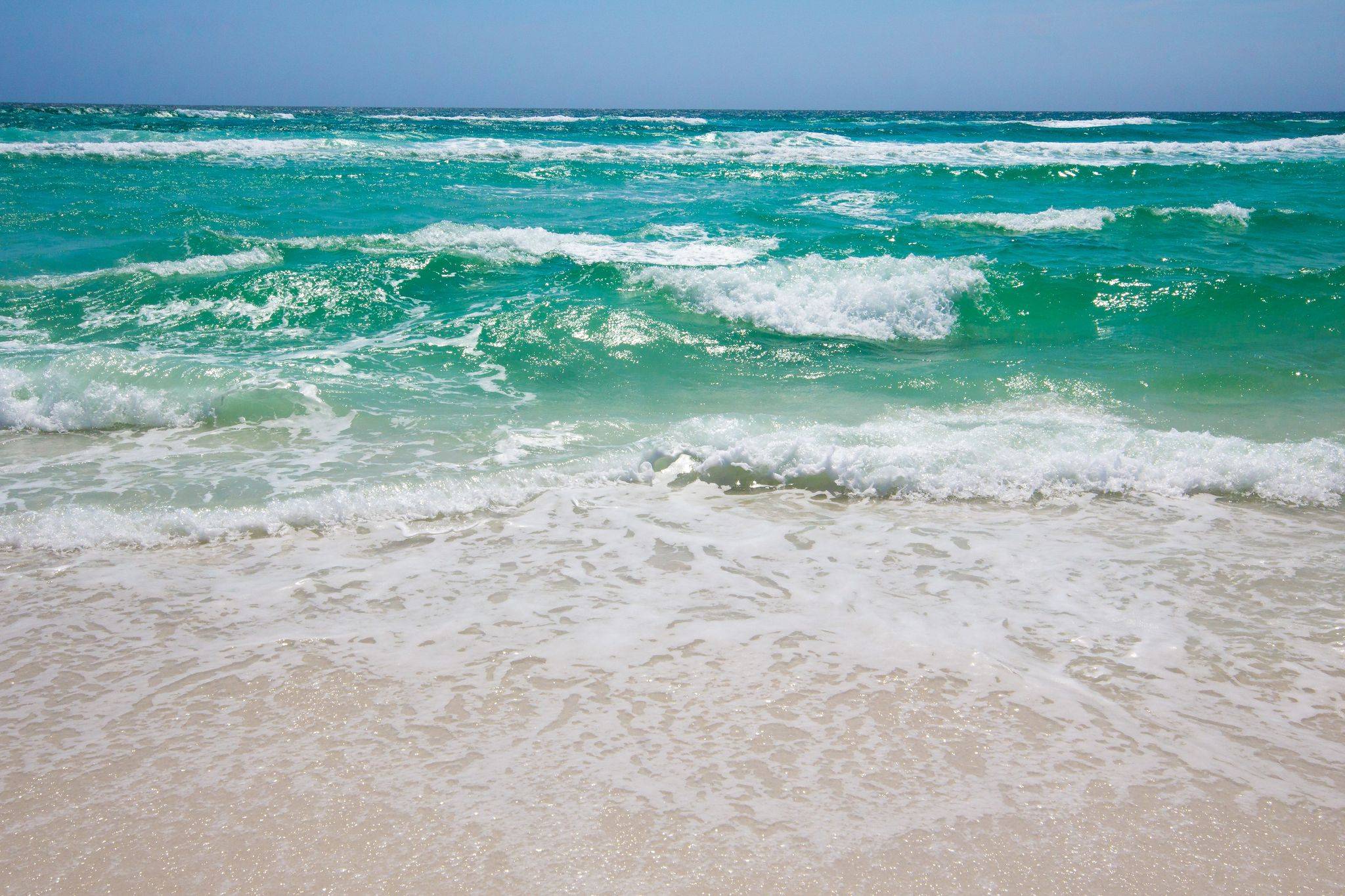 882 Forest St Bonny Dune Blue Swell Vacation Rentals Vacation Rental