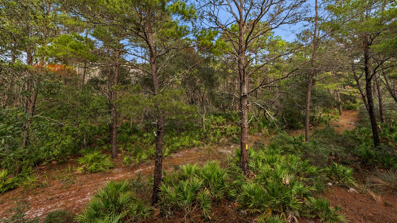 Ocean Park Balcony Ocean Park Balcony