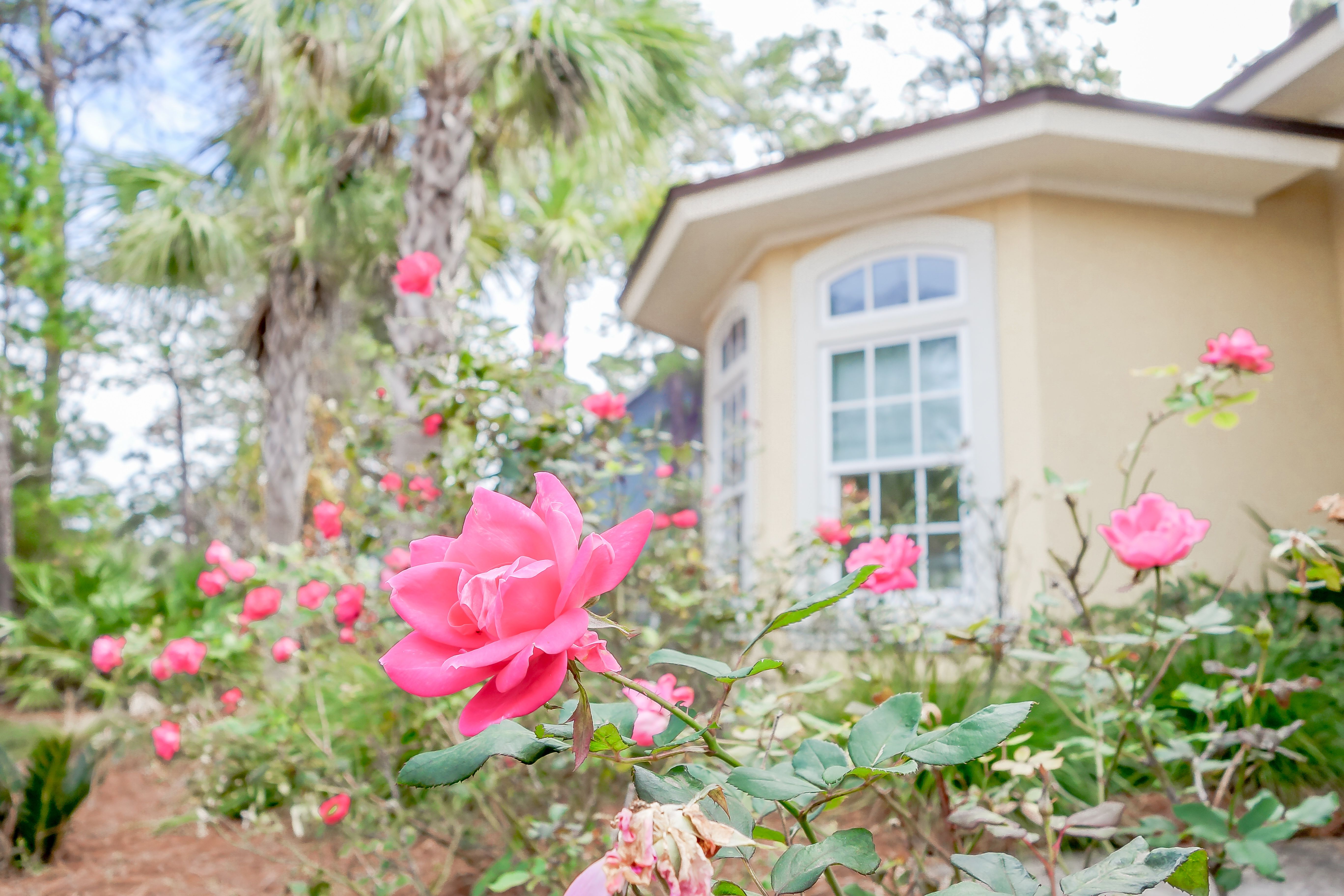 Costal Living Exterior