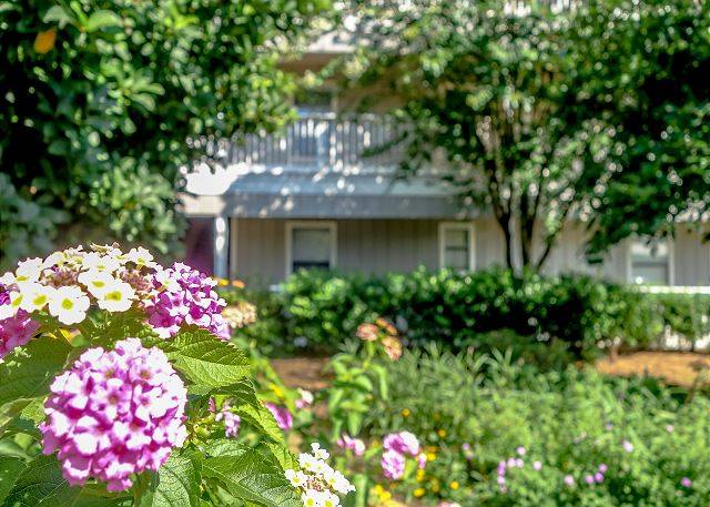Exterior of Beachwood Villas