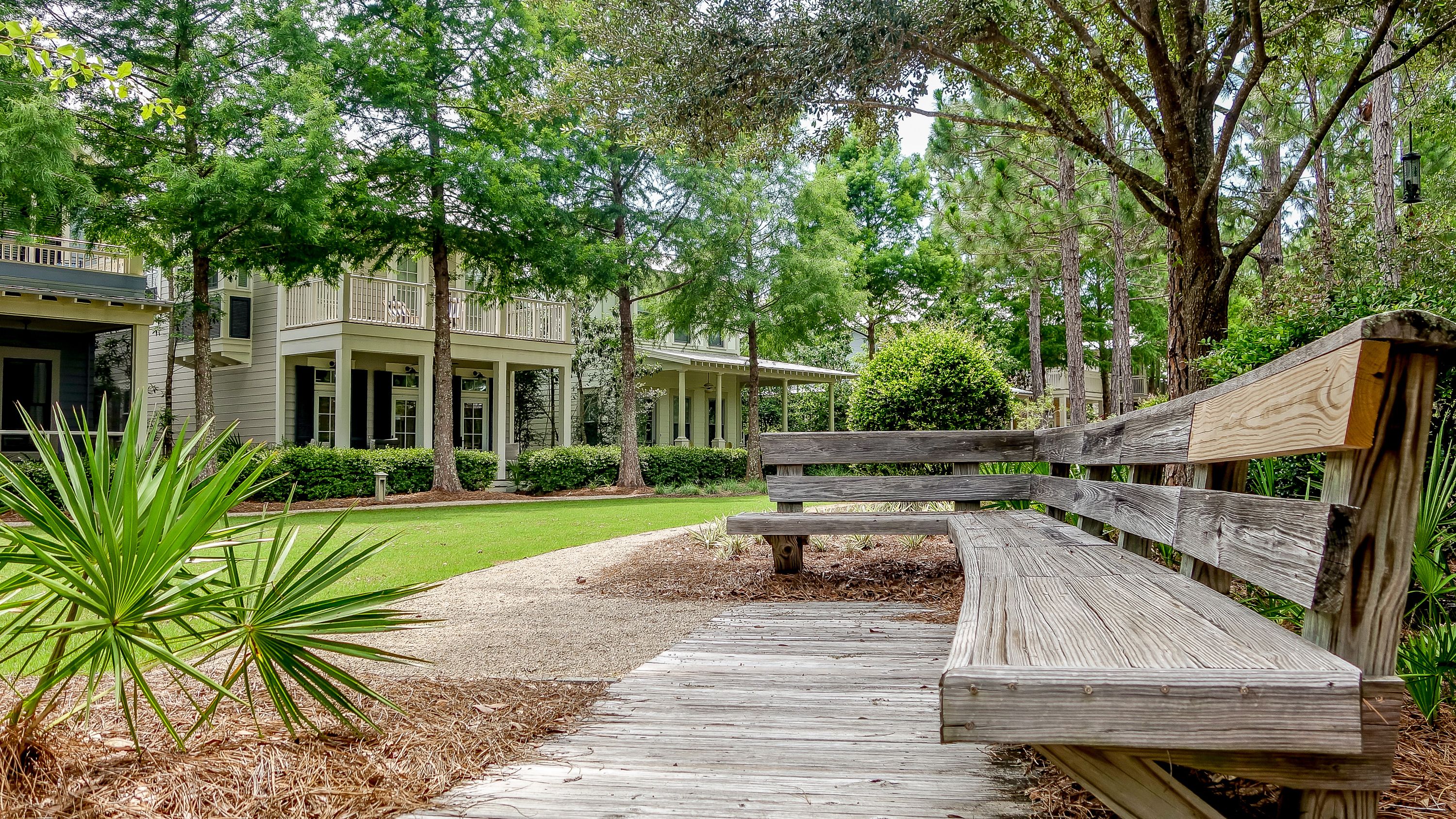 A Whales Tail in WaterColor