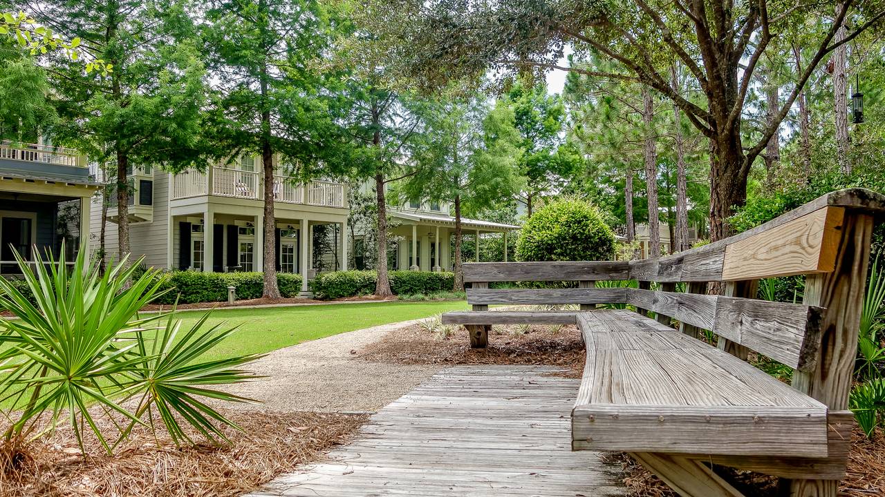 A Whales Tail in WaterColor A Whales Tail in WaterColor