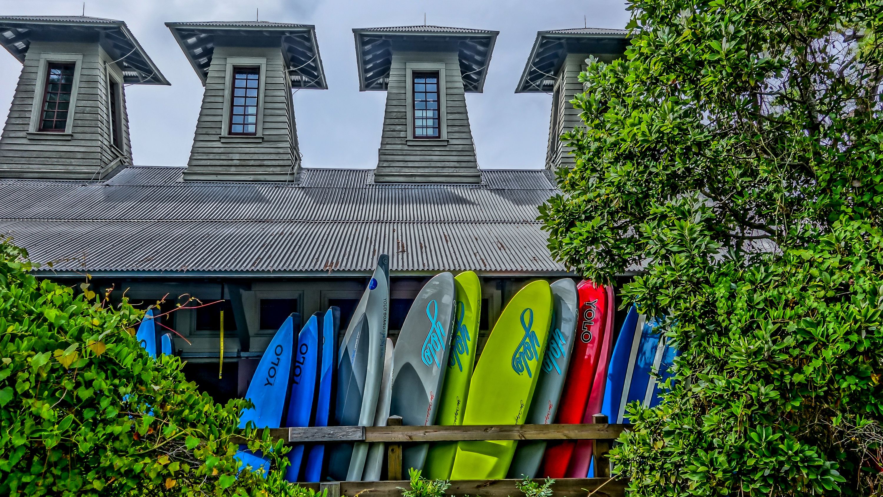 A Whales Tail in WaterColor