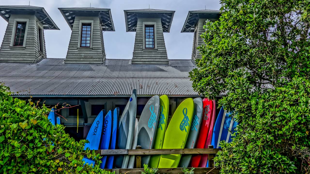 A Whales Tail in WaterColor A Whales Tail in WaterColor