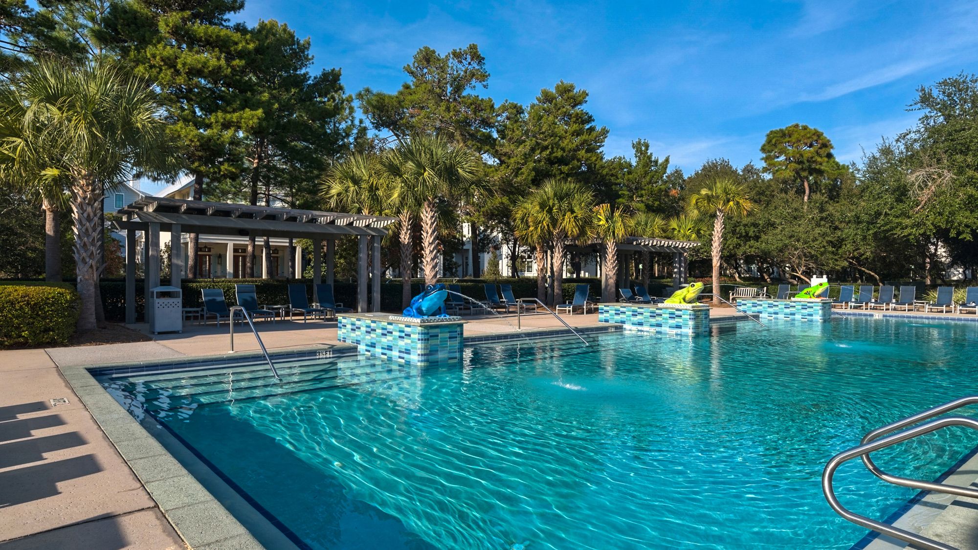 A Whales Tail in WaterColor