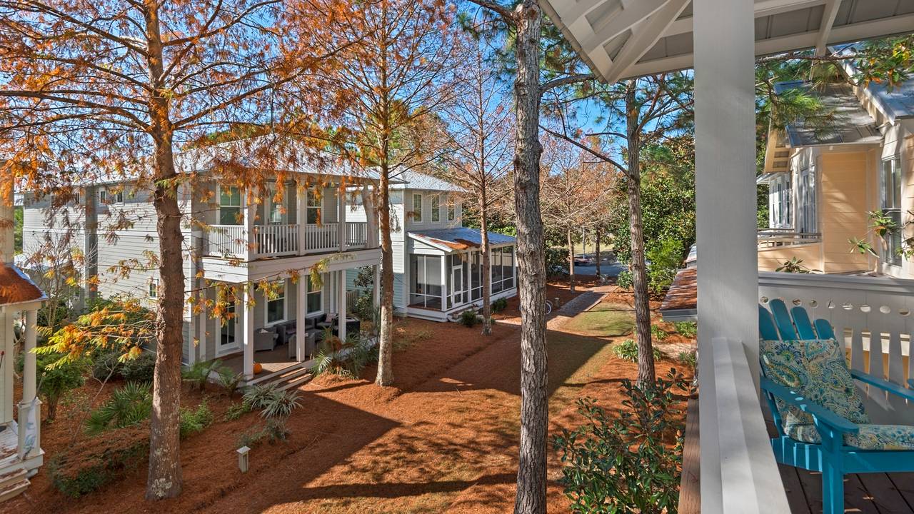 A Whales Tail View A Whales Tail View
