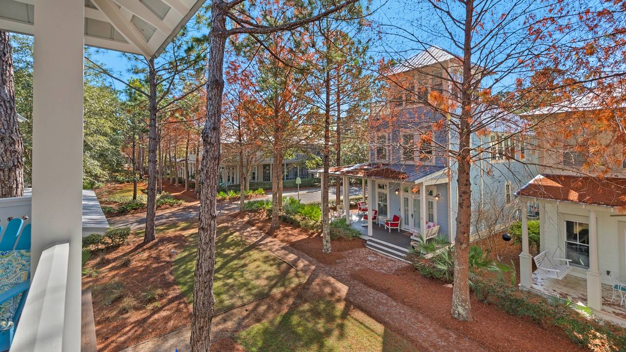 A Whales Tail View A Whales Tail View