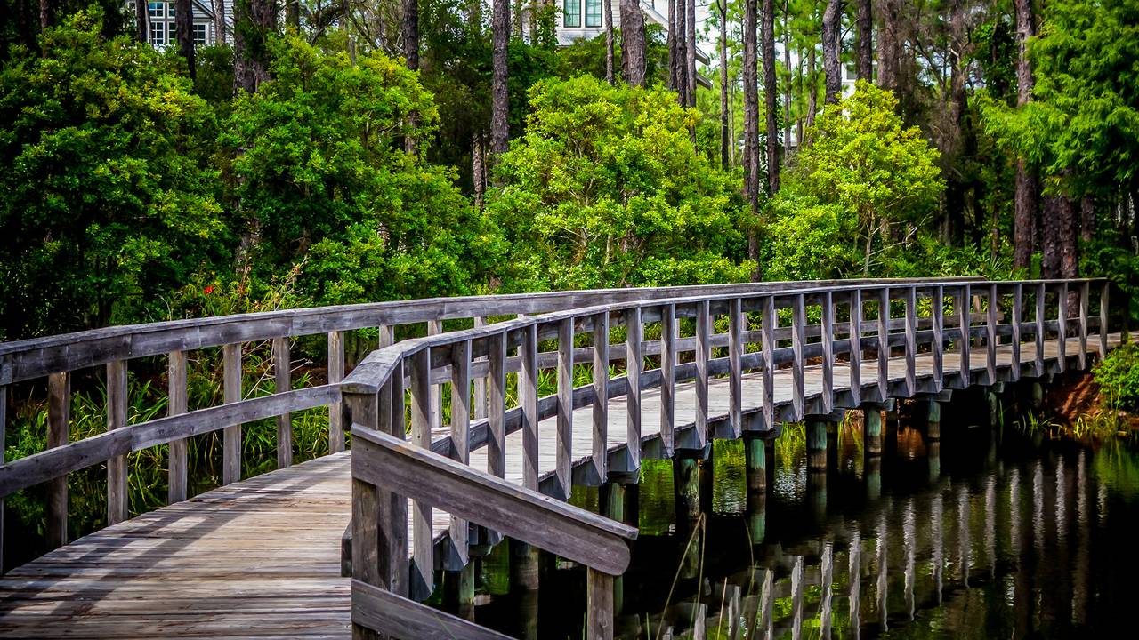A Whales Tail in WaterColor A Whales Tail in WaterColor