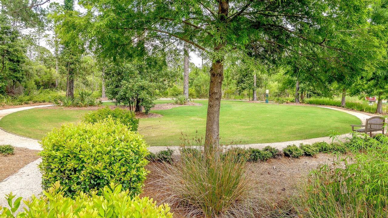 A Whales Tail in WaterColor A Whales Tail in WaterColor