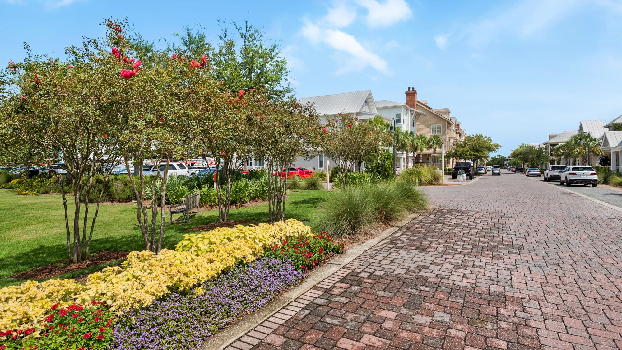 Prominence Neighborhood and Amenities