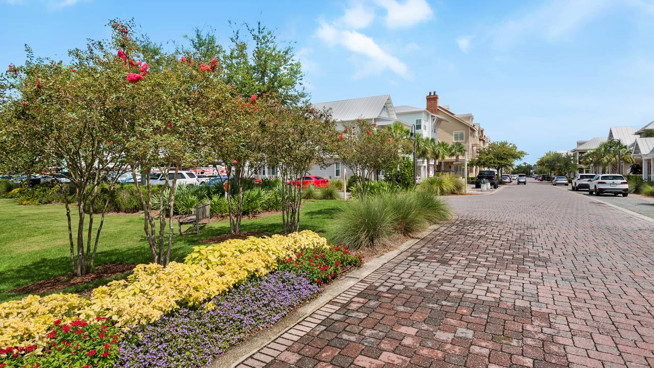 Prominence Neighborhood and Amenities Prominence Neighborhood and Amenities