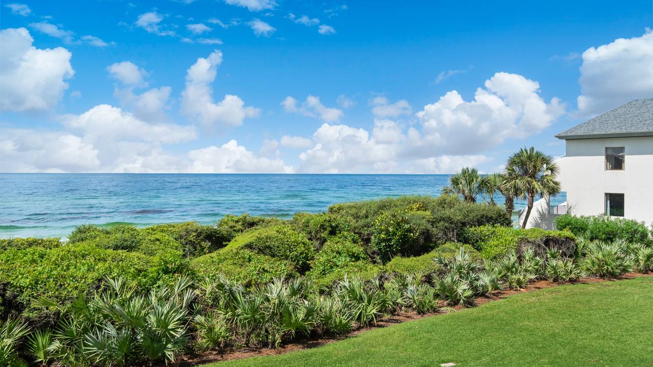 BeachCrest 203 BeachCrest 203