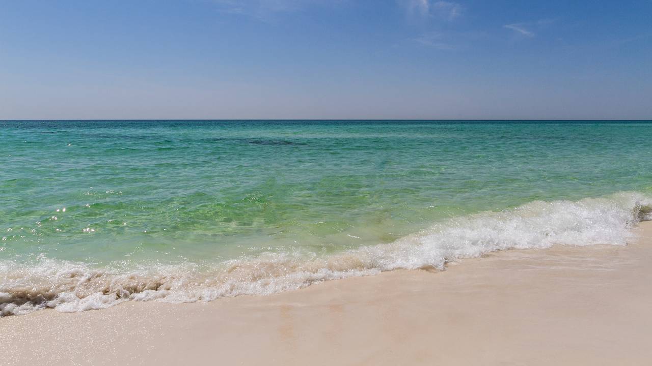 BeachCrest BeachCrest