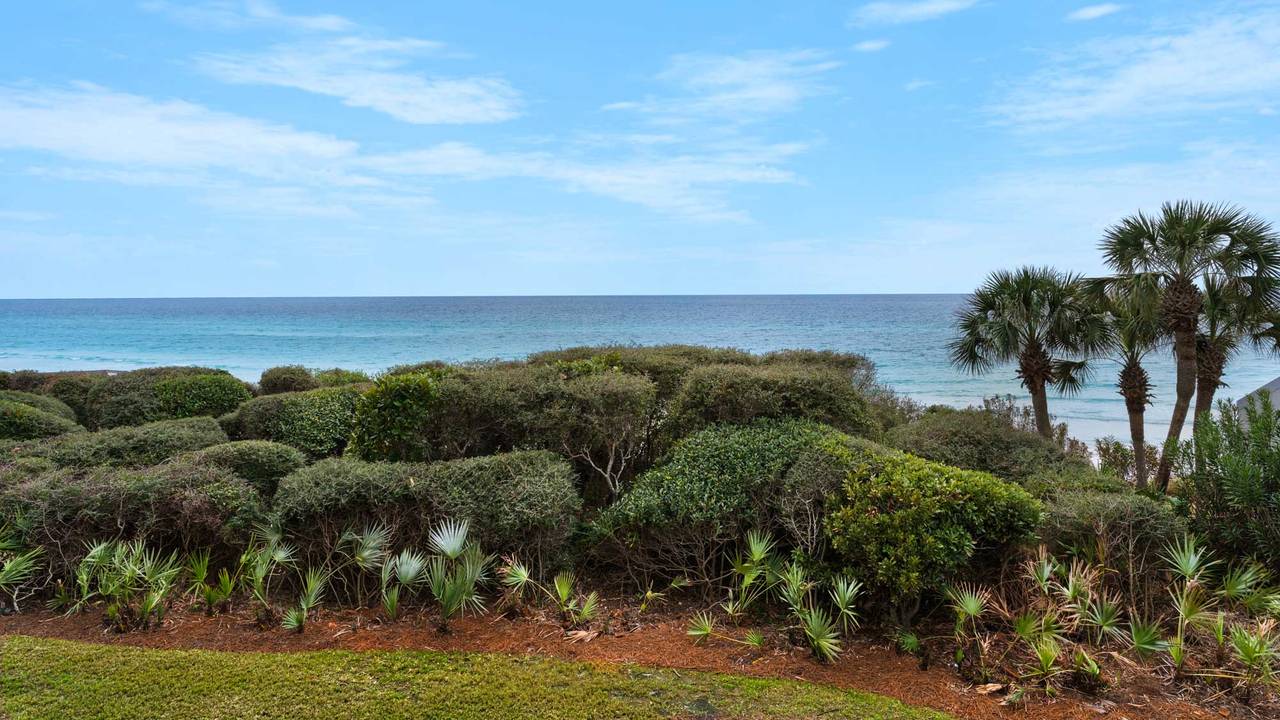 BeachCrest 206 Views from the balcony BeachCrest 206 Views from the balcony