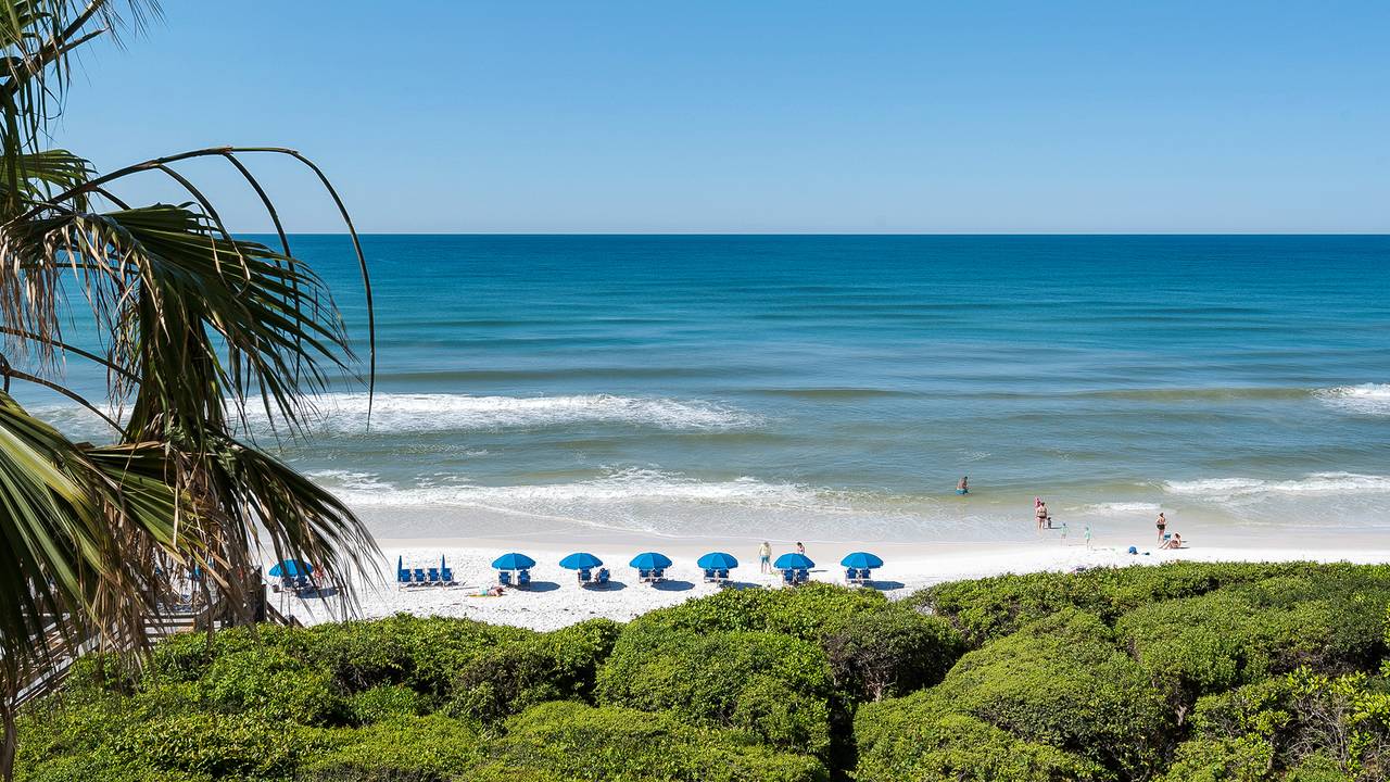 BeachCrest 403 BeachCrest 403