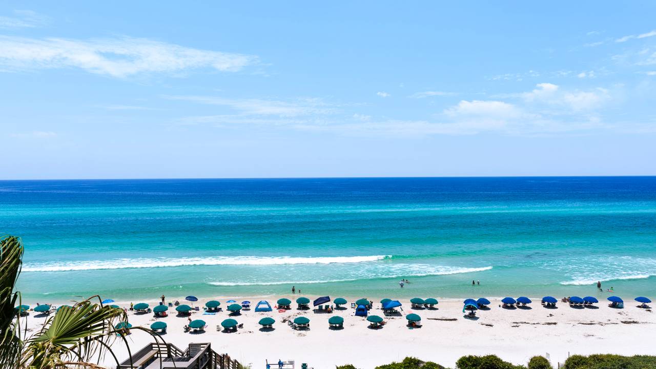 BeachCrest 503 Balcony View BeachCrest 503 Balcony View