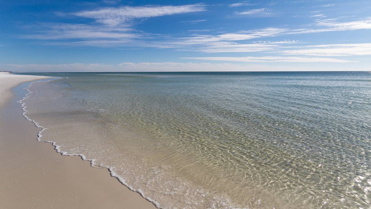 BeachCrest 504 BeachCrest 504