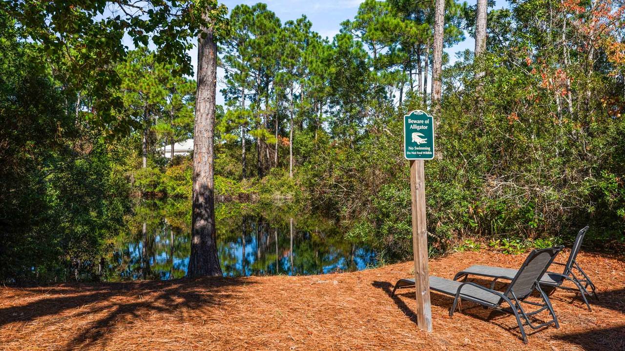 Bungalows at Seagrove Grounds & Amenities Bungalows at Seagrove Grounds & Amenities