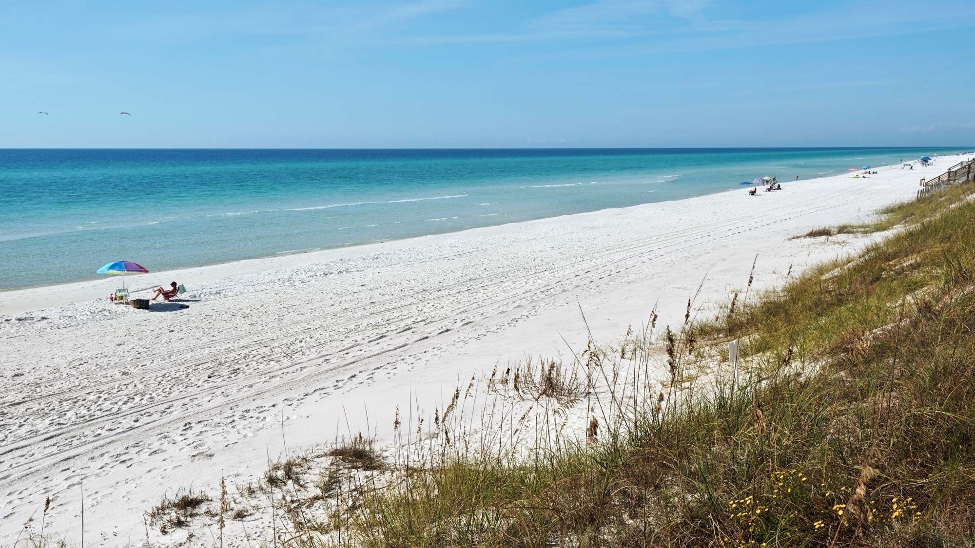 Bungalows at Seagrove Grounds & Amenities