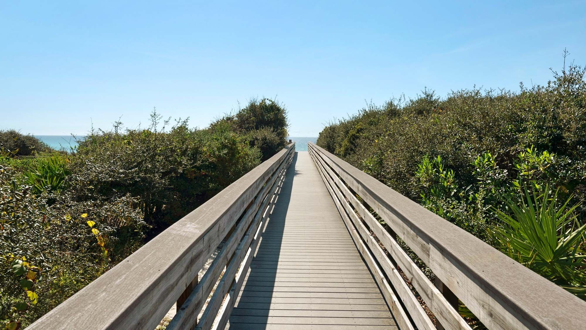Bungalows at Seagrove Grounds & Amenities