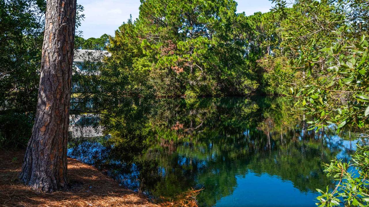 Bungalows at Seagrove Grounds & Amenities Bungalows at Seagrove Grounds & Amenities