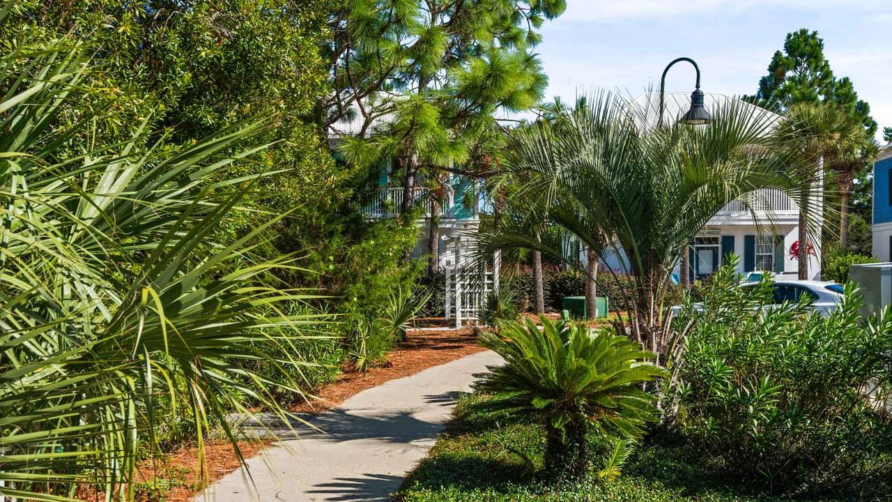 Bungalows at Seagrove Grounds & Amenities Bungalows at Seagrove Grounds & Amenities