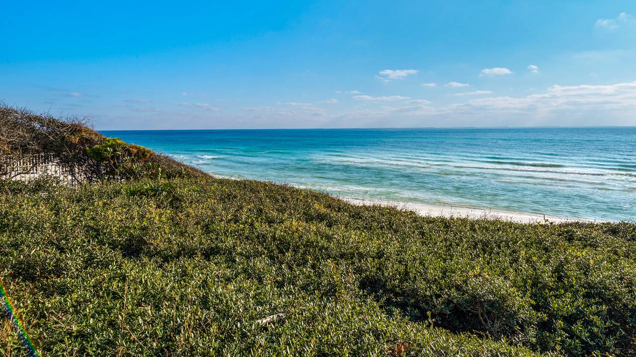 Blue Nine 2 Blue Nine 2