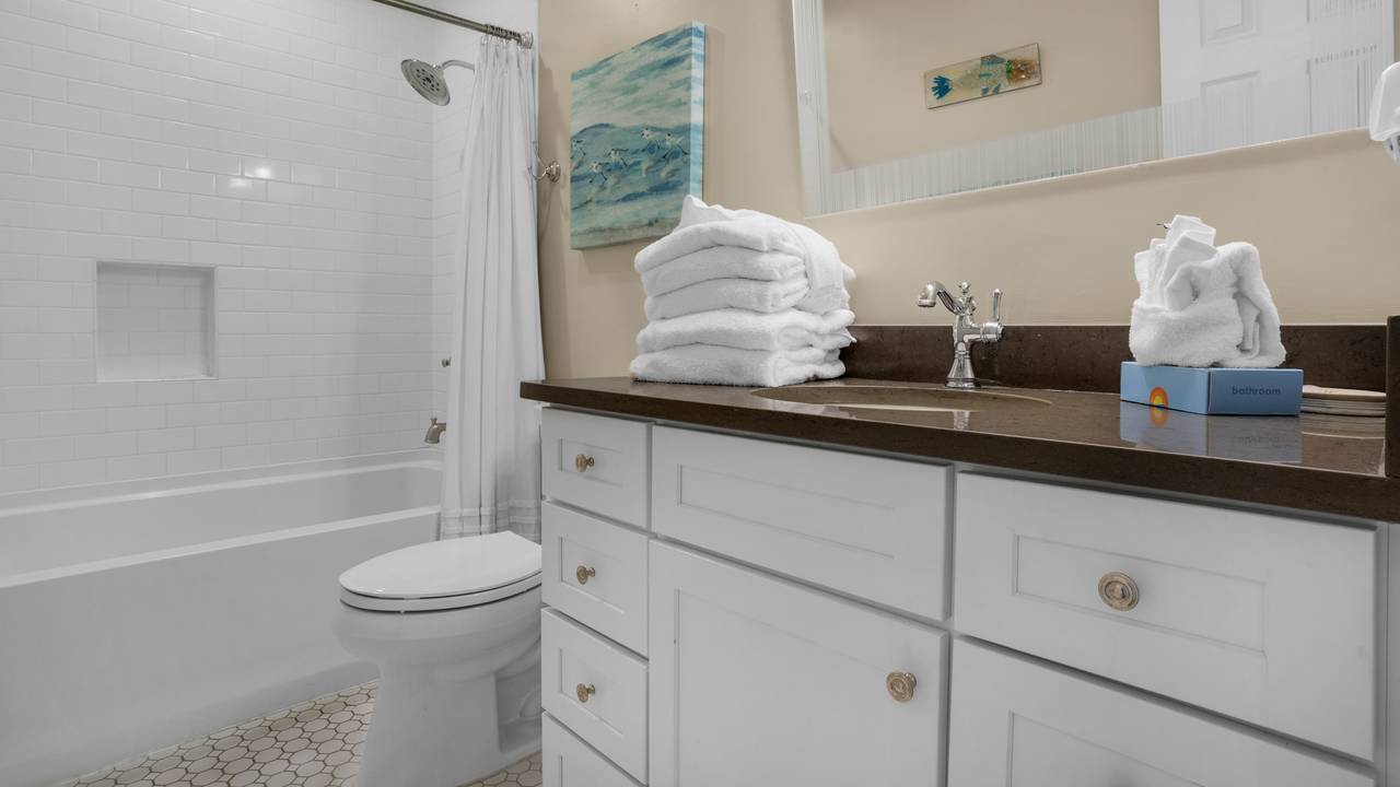 Blue Tide 3B Guest Bathroom Blue Tide 3B Guest Bathroom