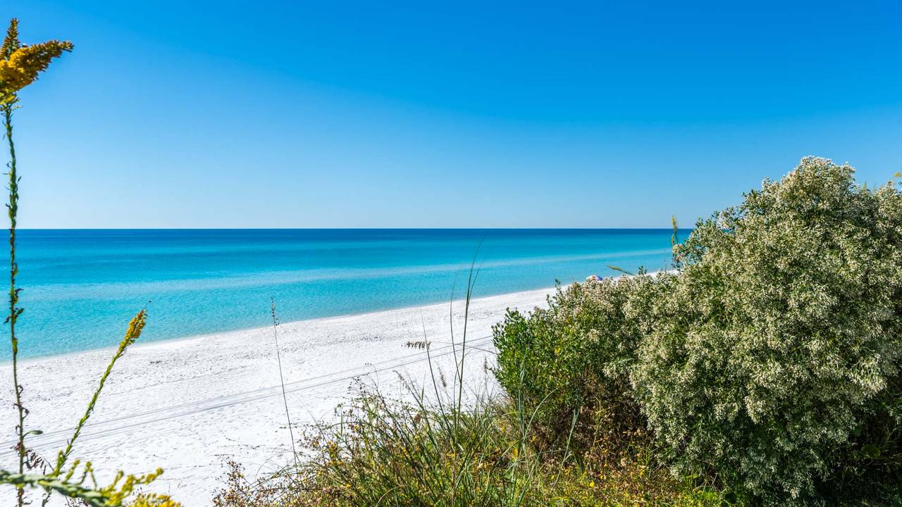 Beachside Grounds & Amenities Beachside Grounds & Amenities