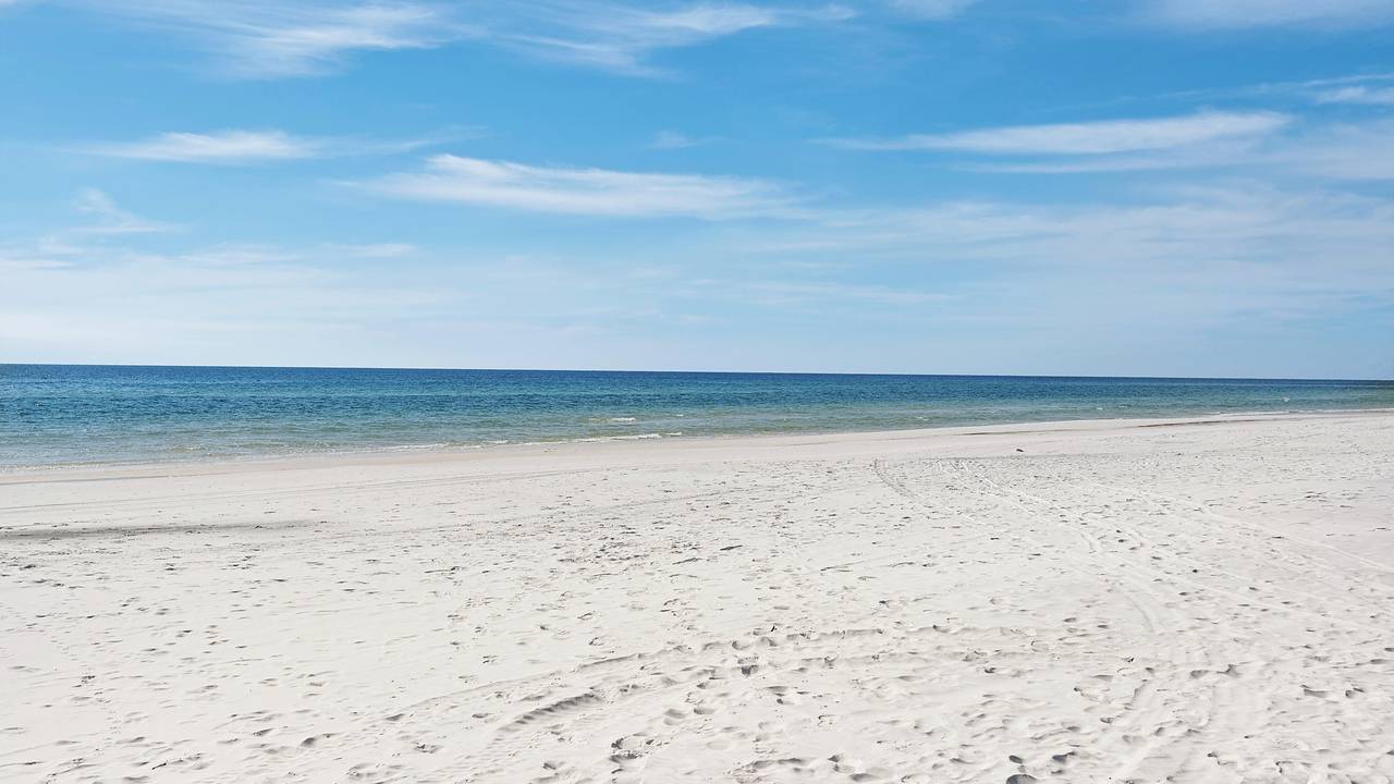 Cassine Gardens and Village Amenities Cassine Gardens and Village Amenities