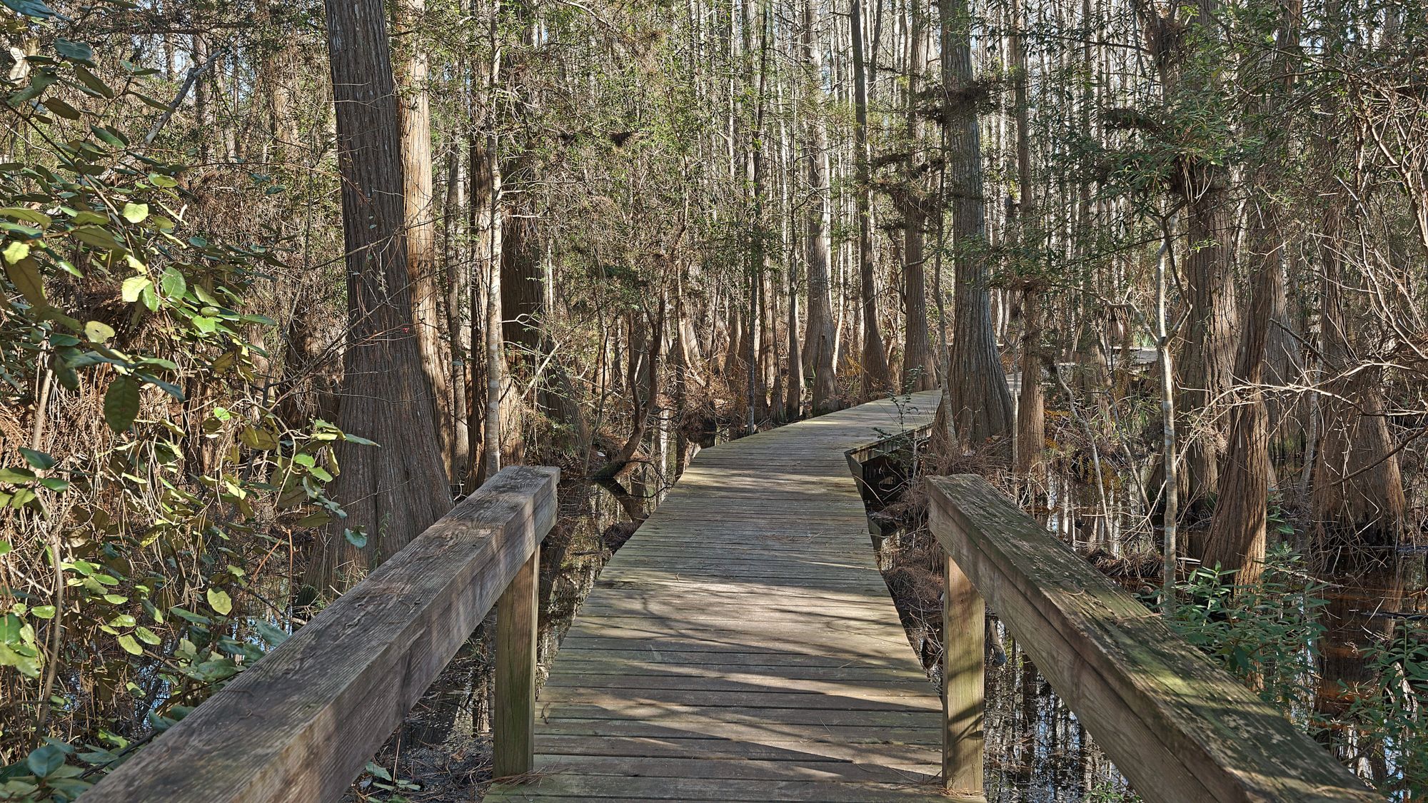 Cassine Station Grounds and Amenities