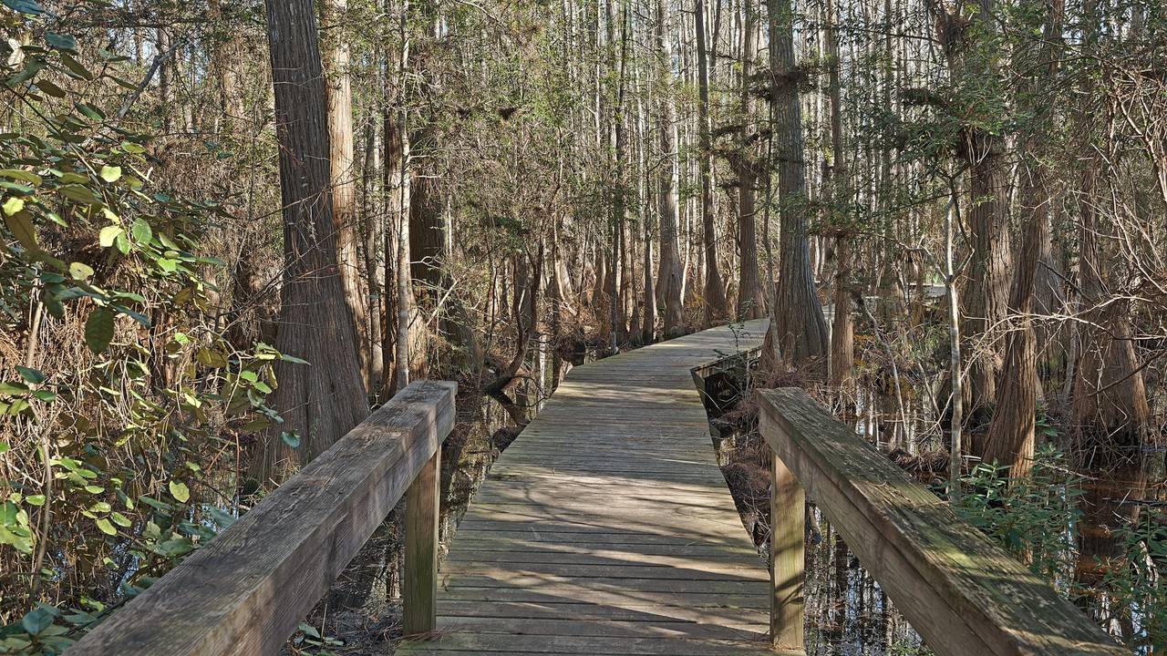 Cassine Station Grounds and Amenities Cassine Station Grounds and Amenities